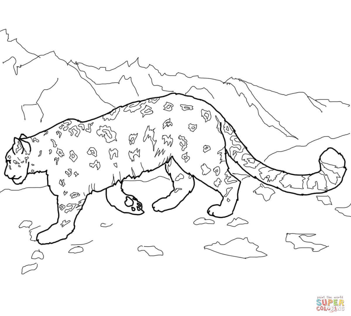 1200x1080 Coloring For Kids Baby Snow Leopard Pages Colouring Excellent