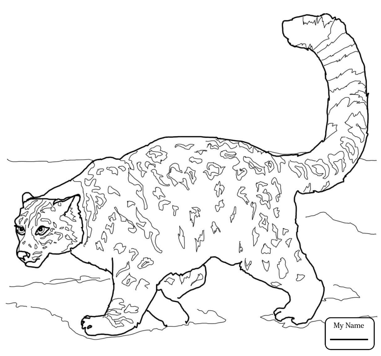 1224x1142 Advice Animal Jam Coloring Pages Snow Leopard