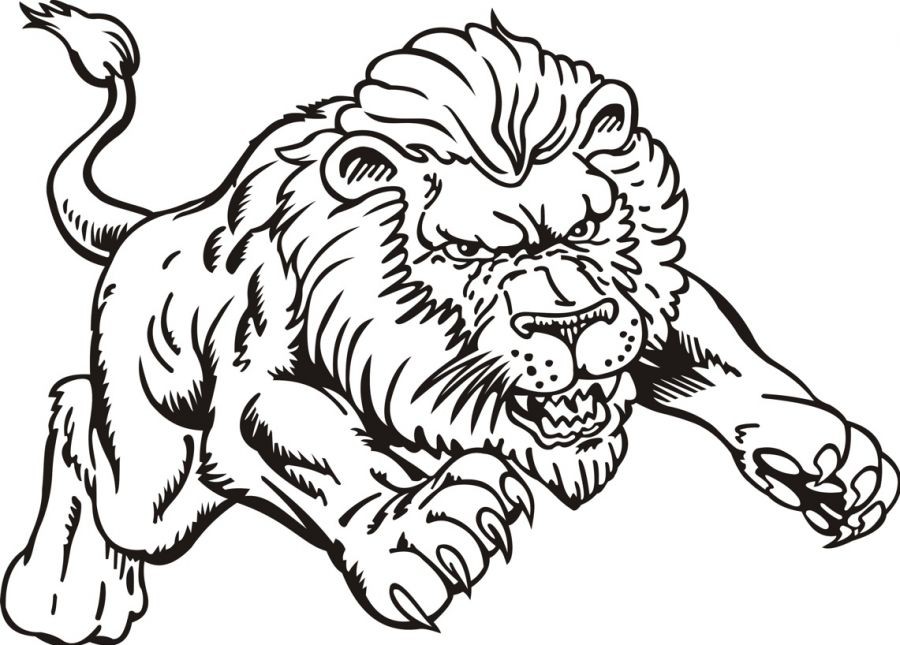 900x645 Lion Coloring Page