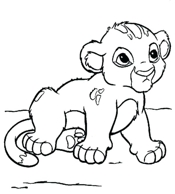 600x666 Lion Drawing For Coloring Baby Lion Coloring Pages Coloring Pages