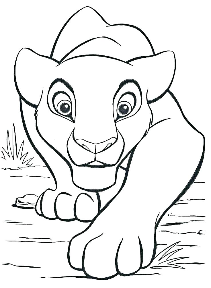 736x1003 Baby Lion Coloring Pages