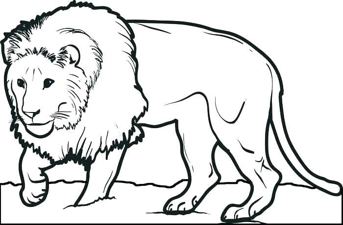 Baby Lion Coloring Pages at GetDrawings | Free download