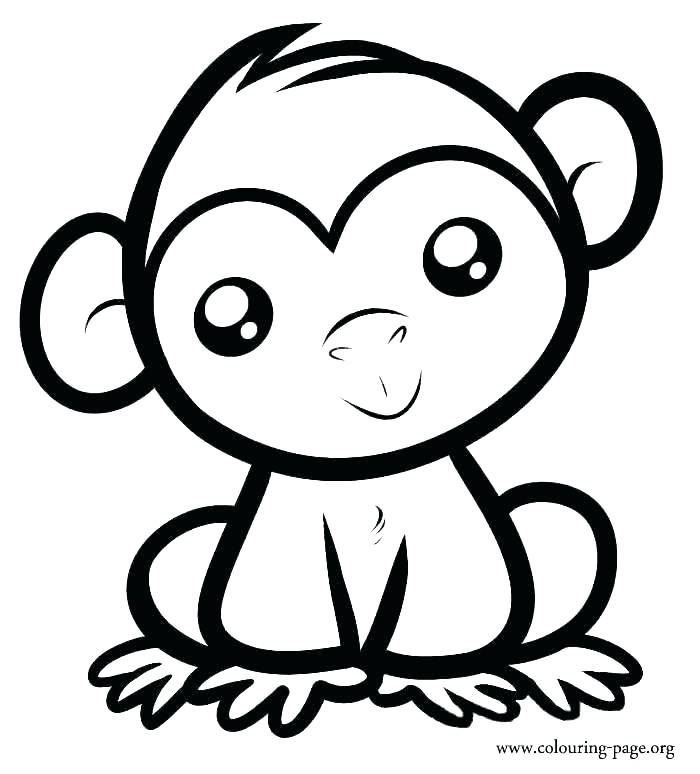 700x774 Coloring Pages Of Baby Monkeys