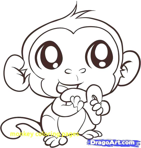 564x595 Printable Monkey Coloring Pages Monkey Coloring Pages With Cartoon