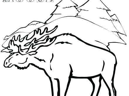 440x330 Moose Coloring Pages Baby Moose Coloring Pages Mariner Moose