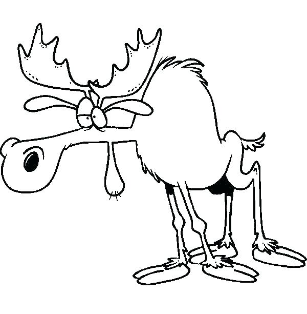 600x612 Moose Coloring Pages Here Are Moose Coloring Page Pictures Moose