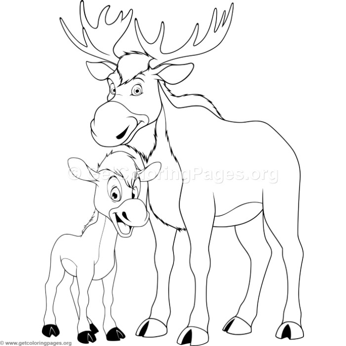 700x700 Mother Moose And Baby Coloring Pages