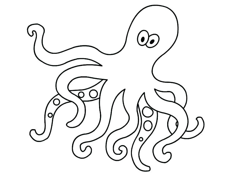 Baby Octopus Coloring Pages at GetDrawings | Free download