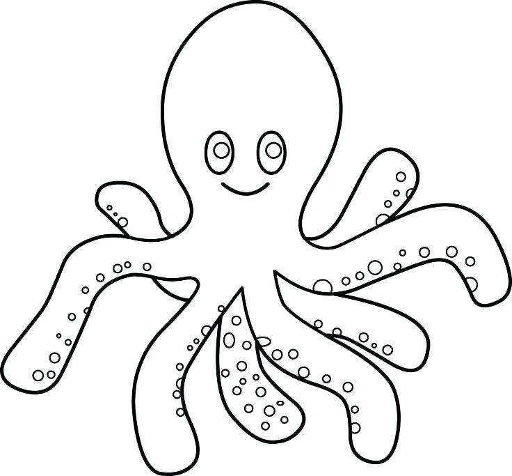 736x683 Octopus Coloring Pages Coloring Ideas Pro