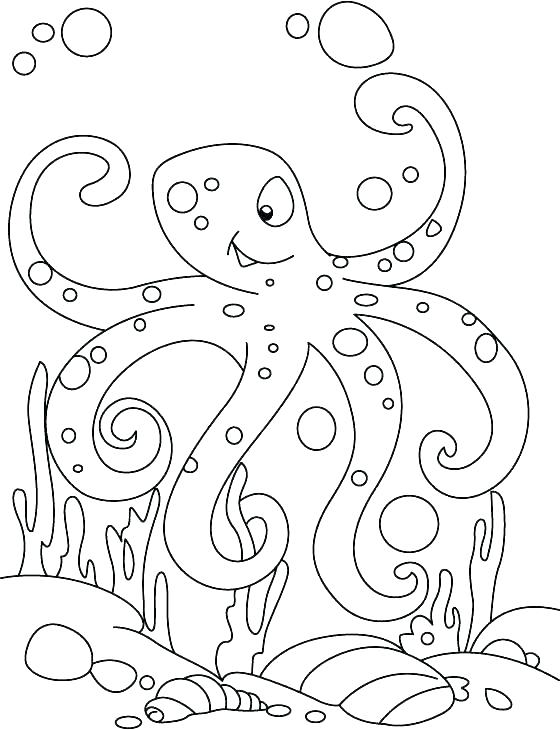 Baby Octopus Coloring Pages at GetDrawings | Free download