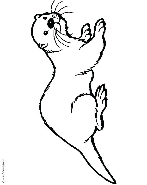 612x767 Sea Otter Coloring Pages Otter Coloring Page Sea Otter Coloring