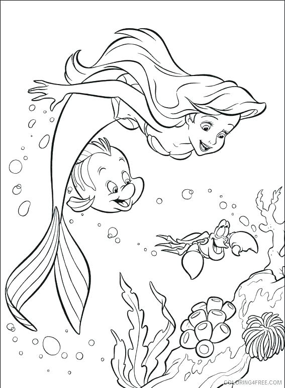 567x771 Sea Otter Coloring Pages Under The Sea Coloring Pages Little