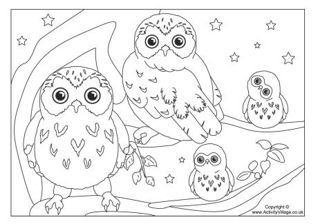 460x325 Coloring Pages Baby Owls