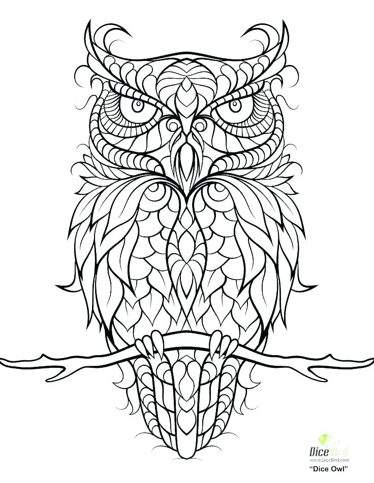 736x952 Coloring Pages Owl Owl Coloring Pictures To Print Owl Coloring