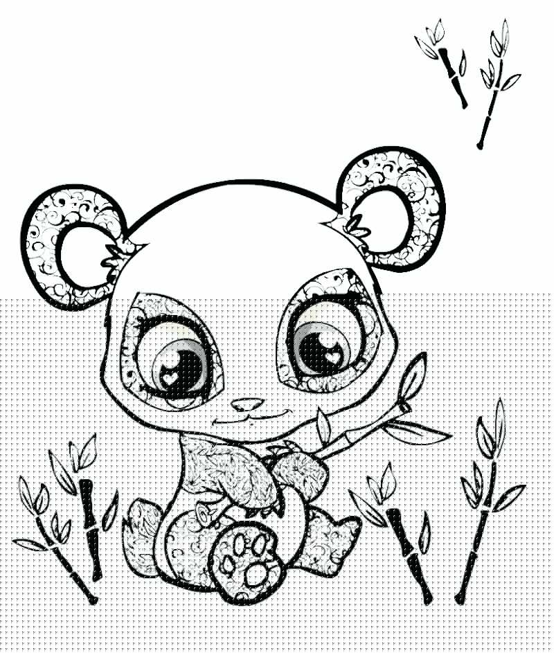 800x943 Baby Panda Coloring Pages