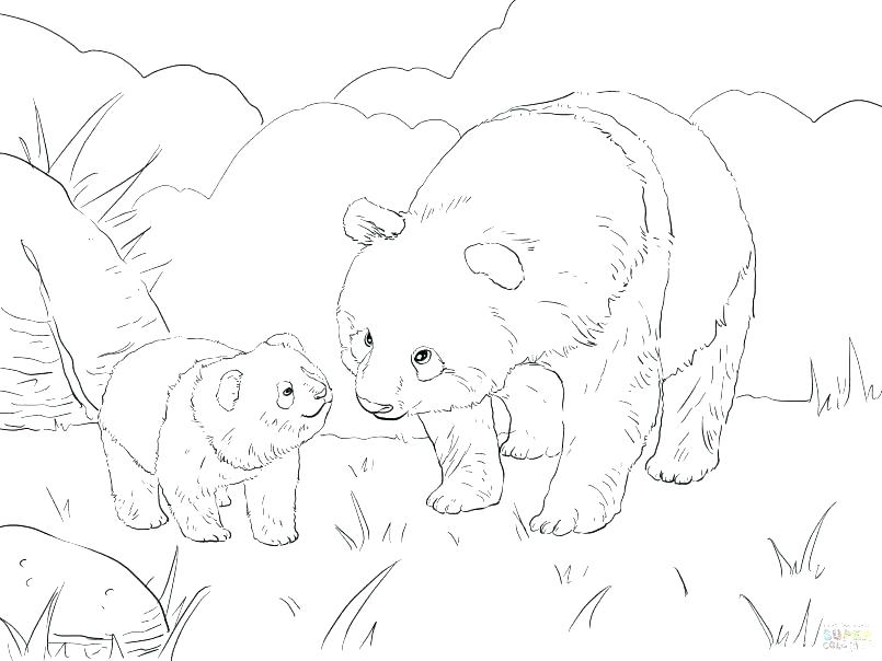 805x604 Panda Coloring Pages To Print Printable Coloring Baby Panda