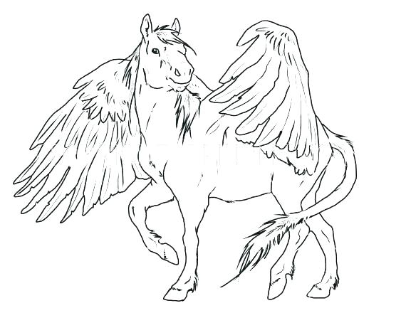 570x440 Pegasus Coloring Pages Printable Coloring Pages For Kids Cute Baby