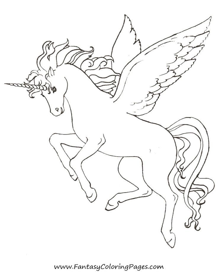 736x920 Baby Pegasus Coloring Pages