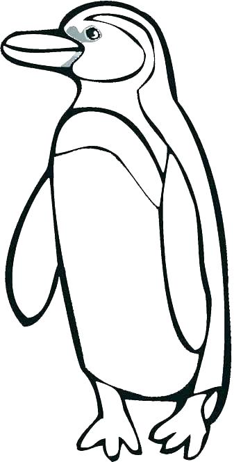 360x665 Amazing Penguins Coloring Pages