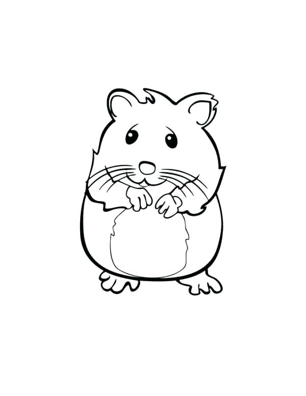 600x776 Baby Pig Coloring Pages Cute Pig Coloring Pages Guinea Pig