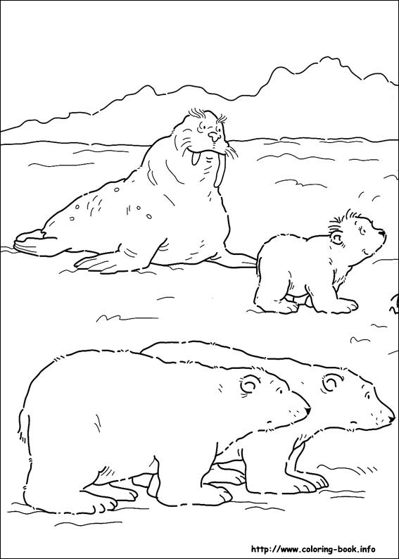 567x794 Little Polar Bear Coloring Pages On Coloring
