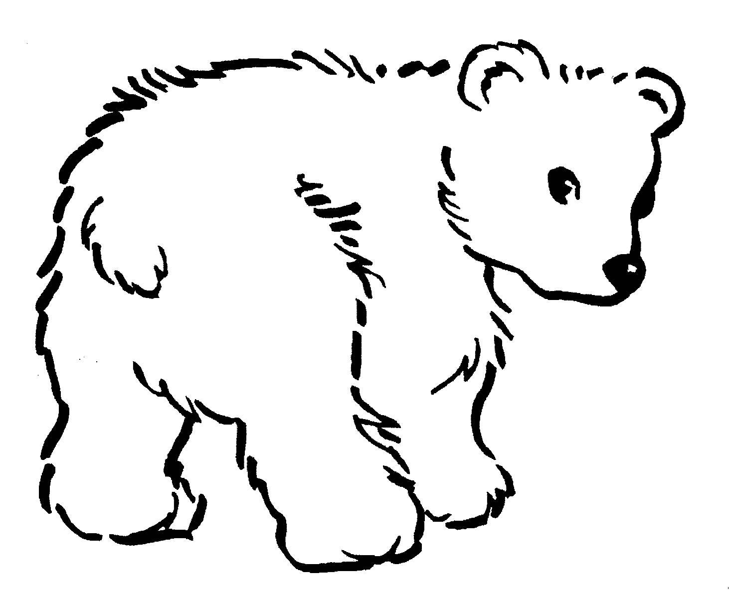 1464x1192 New Baby Polar Bears Coloring Pages Free In Bear Page