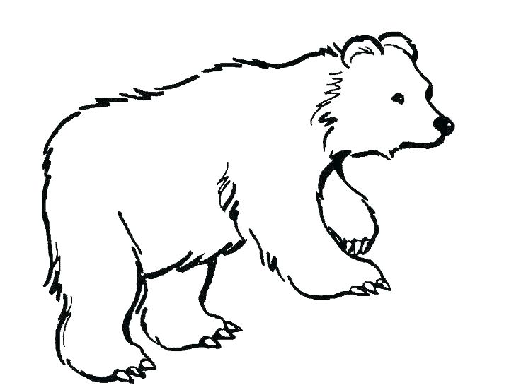736x552 Polar Bear Coloring Page Polar Bear Coloring Page Printable Polar