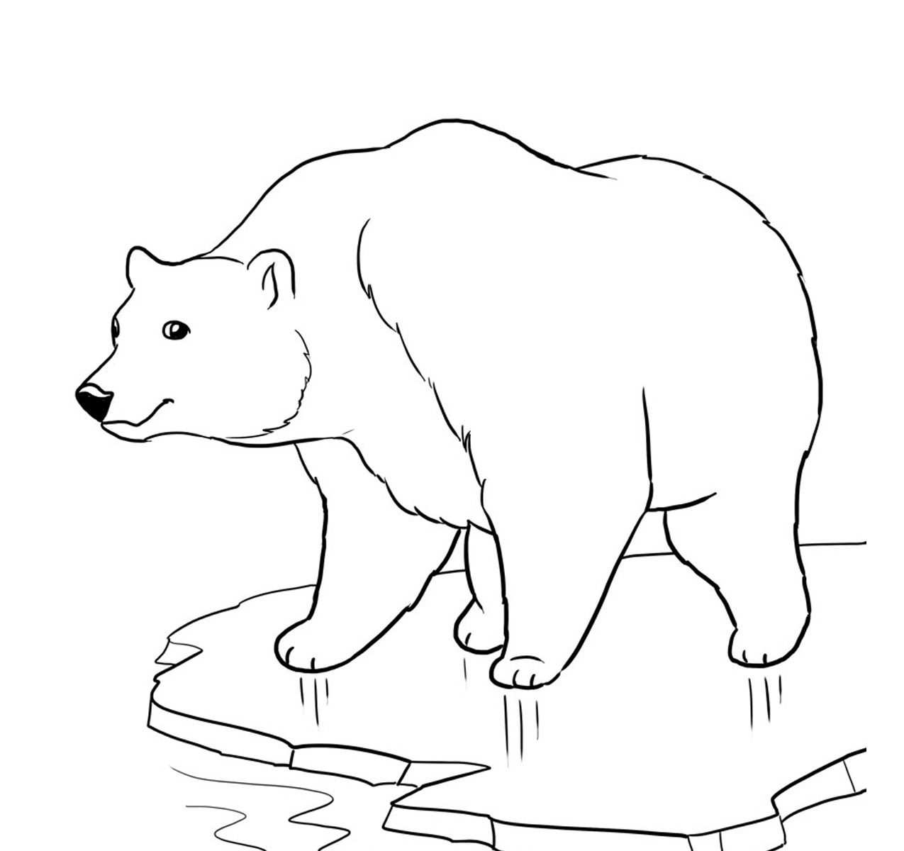 1275x1200 Polarar Printable Coloring Pages Baby Sheets Animalst Best Polar