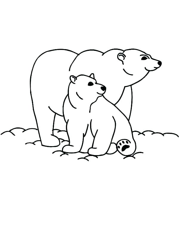 600x776 Baby Polar Bear Coloring Pages Printable Pictures Bears Full Size