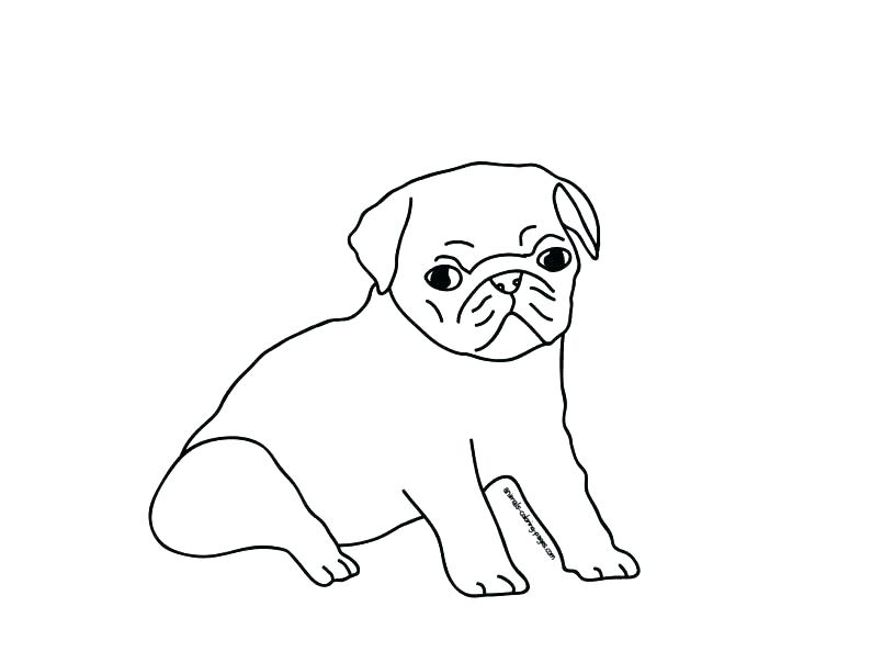 805x604 Pug Coloring Page Pug Coloring Pages Christmas Pug Coloring Pages