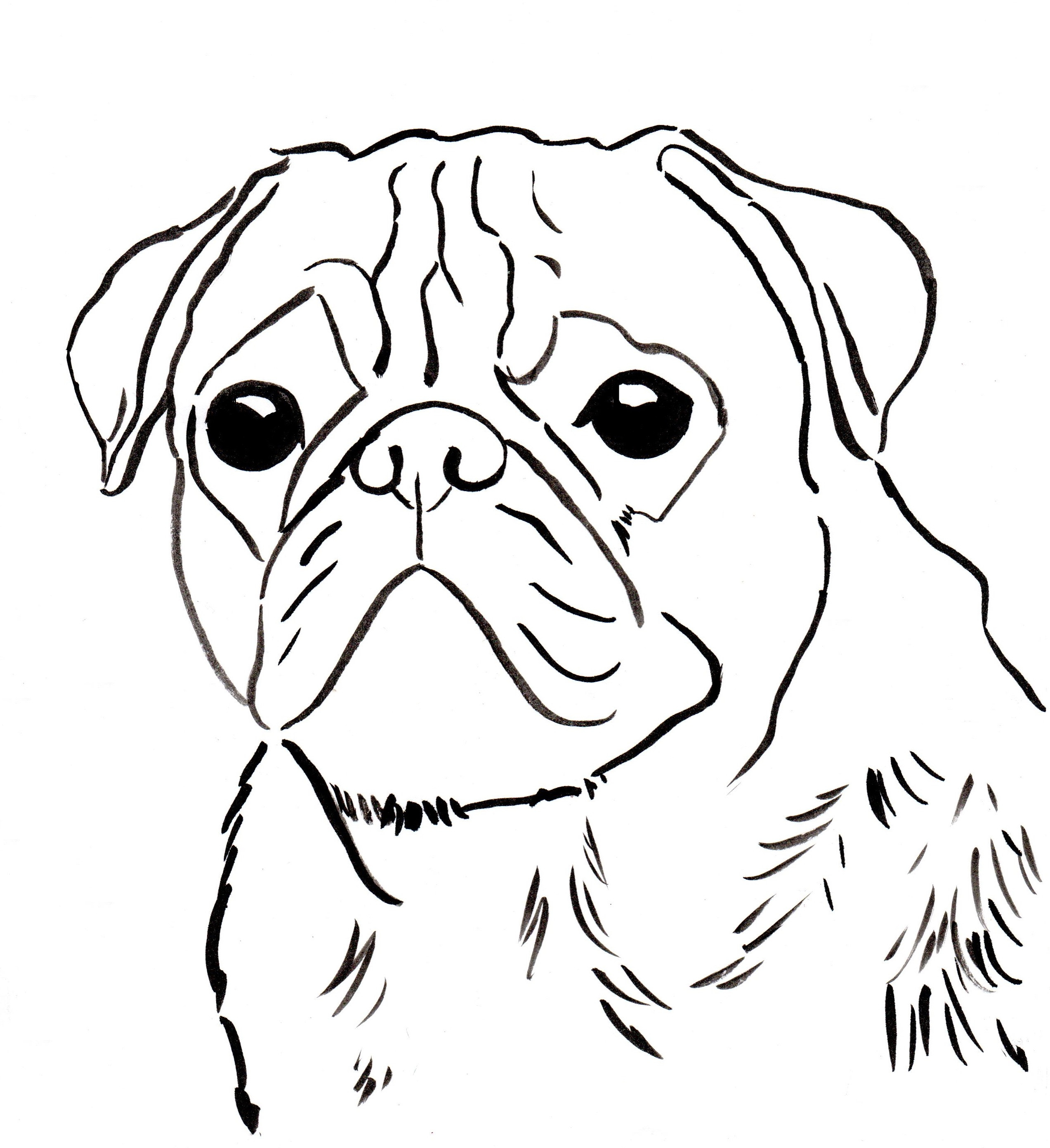 2545x2782 Pug Coloring Pages