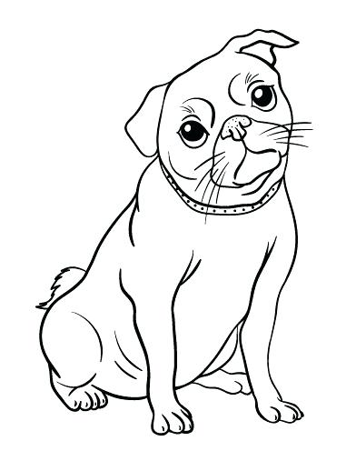 392x507 Pug Coloring Pages Image Detail For Related Searches For Pug