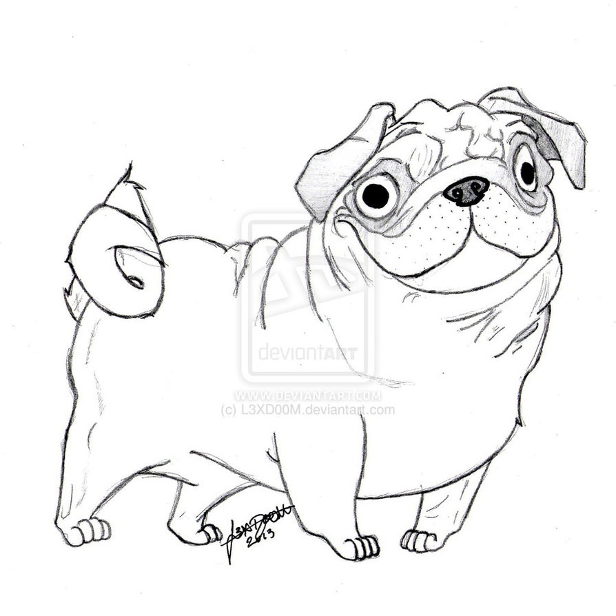 894x894 Printable Pug Coloring Pages Mesmerizing Page