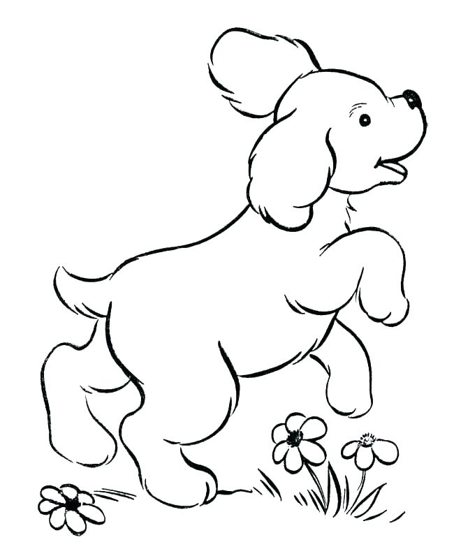 650x796 Free Coloring Pages Of Dogs Free Coloring Pages Puppies Coloring