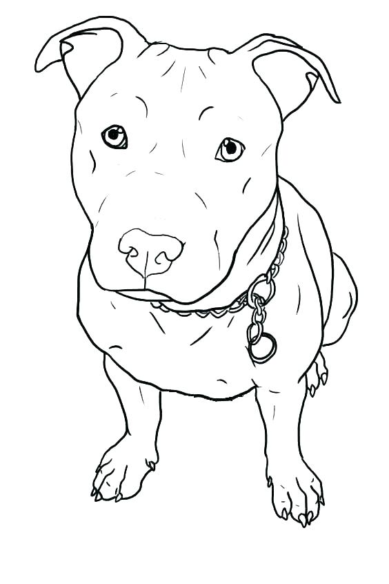 564x846 Baby Puppy Coloring Pages Coloring Pages Baby Coloring Pages