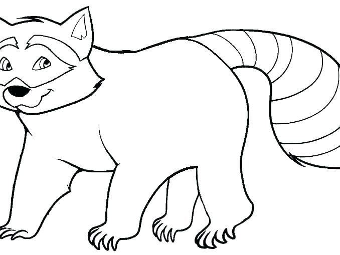 678x509 Racoon Coloring Page Coloring Pages Online Hard Raccoon Sheet