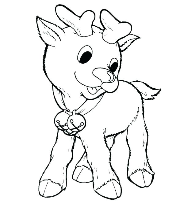 600x667 Coloring Pages Reindeer Cute Coloring Page Pages Reindeer