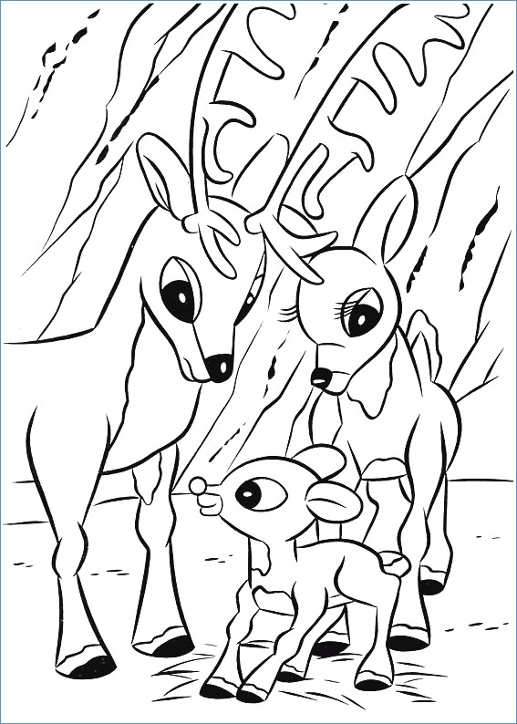 567x794 Cute Baby Reindeer Coloring Page