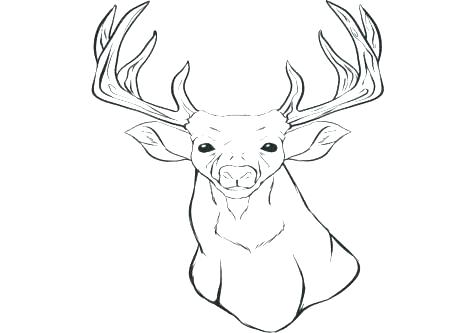 476x333 Free Reindeer Coloring Pages Reindeer Coloring Pages Printable