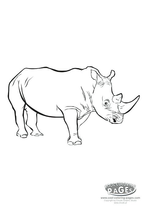 472x678 Marvel Rhino Coloring Pages Rhino Rhinoceros Coloring Animals My
