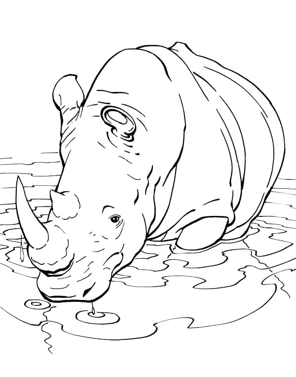 600x763 Rhino Coloring Page Rhinoceros Coloring Pages Printable