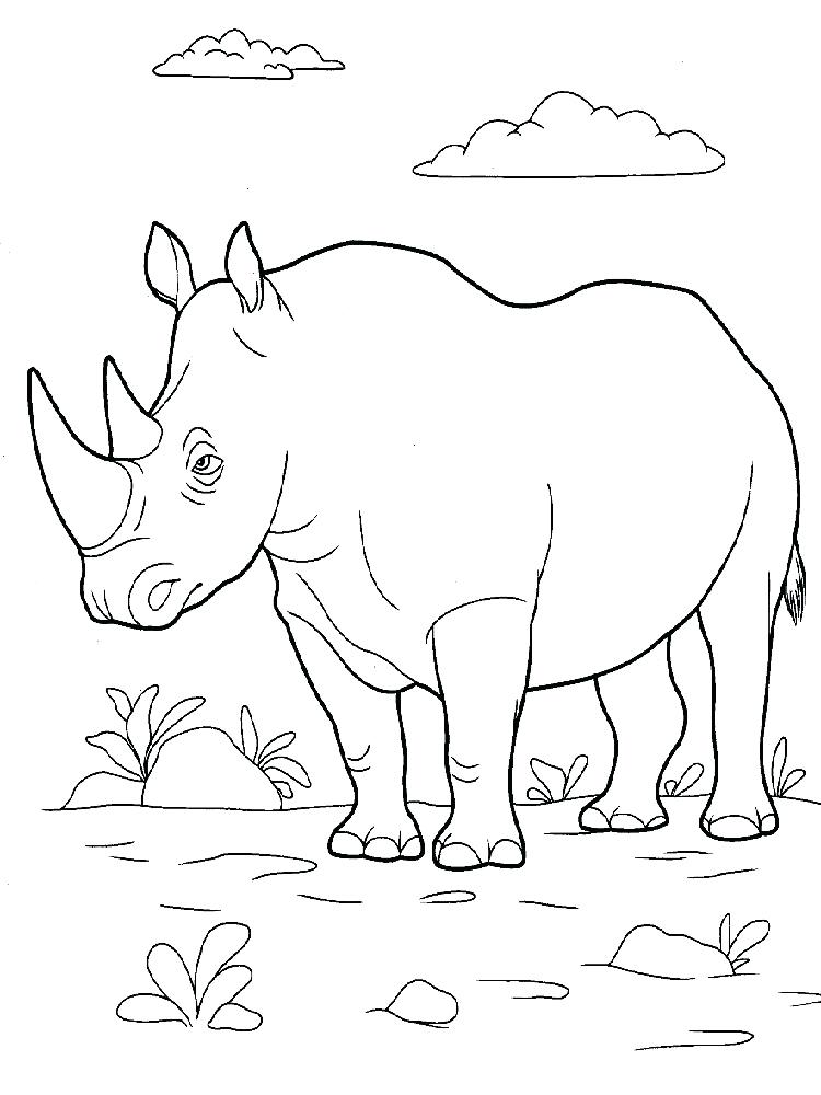 750x1000 Rhino Coloring Pages Download And Print Rhino Coloring Pages Rhino