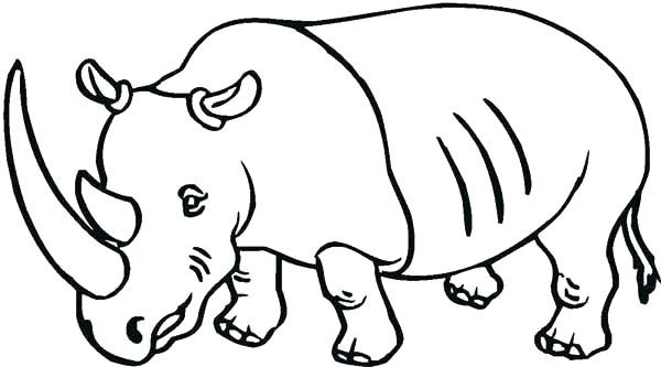 600x333 Rhinoceros Coloring Page Colouring Pages Of Spider Man The Rhino