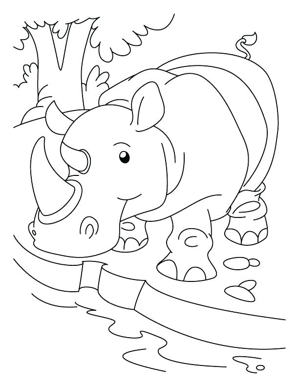 612x792 Rhinoceros Coloring Page Parts Of Rhino Picture Coloring Pages