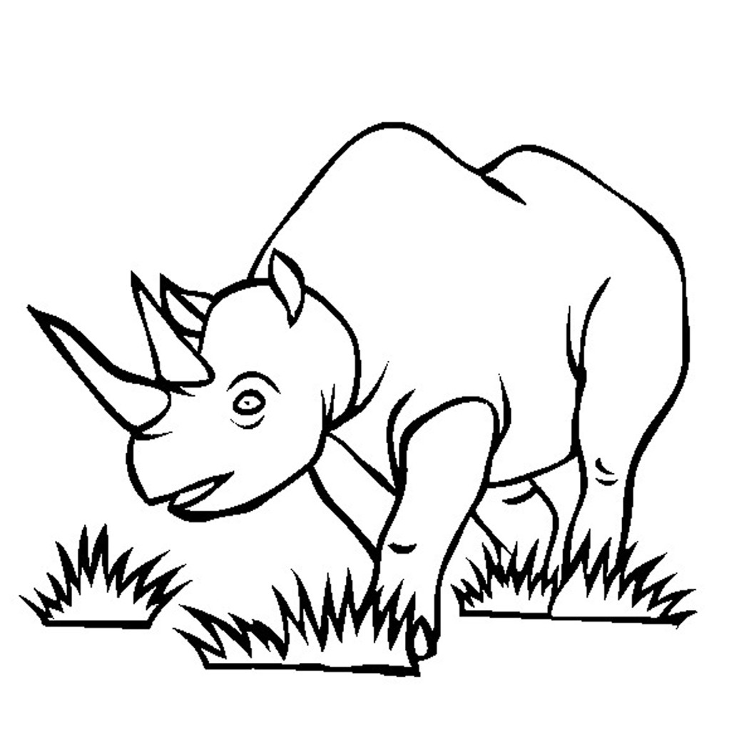 1050x1044 Zentangle Rhino Coloring Page Free Printable Pages Fancy