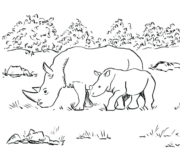 760x641 Rhinoceros Coloring Page
