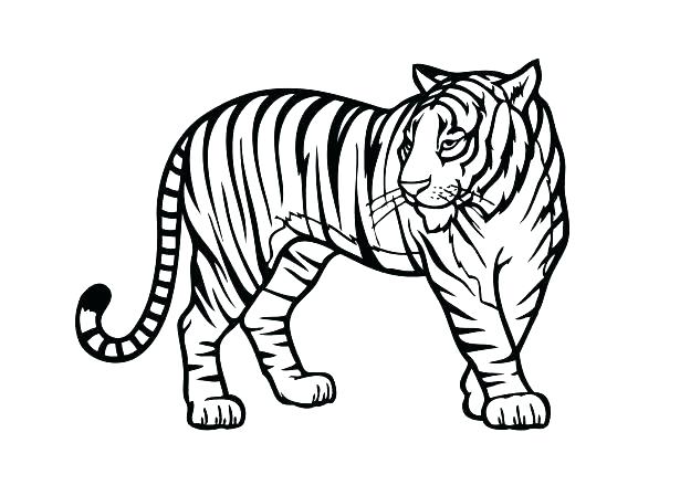 615x439 Safari Animal Coloring Pages Safari Animal Coloring Pages Coloring