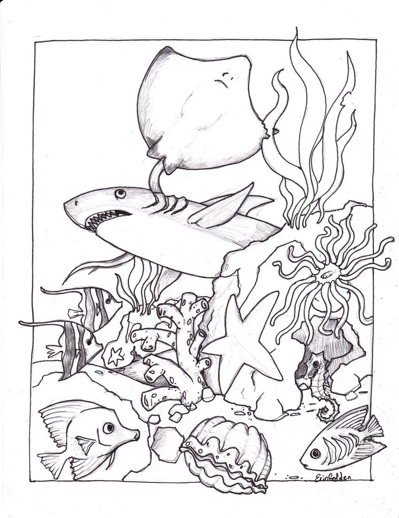 785x1018 Imagination Ocean Animal Coloring Pages Baby S