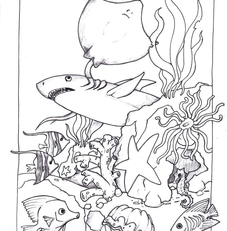 785x800 Sea Animal Coloring Pages Animal Best Kids Coloring Ocean Habitat