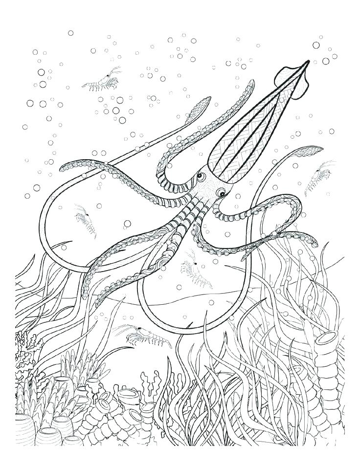 736x952 Underwater Coloring Pages Turtles Coloring Pages Baby Sea Turtle